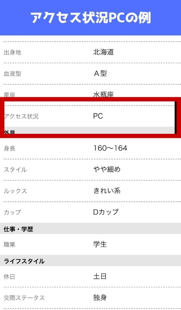 ハッピーメールにいるアクセス状況PCの業者の例
